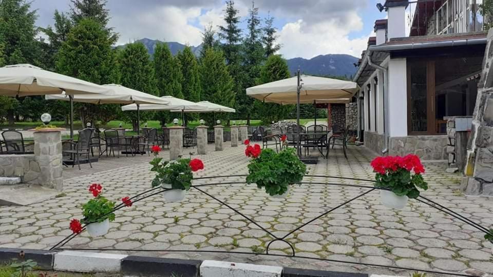 Hotel Cheia Kheja Kültér fotó